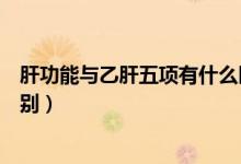 肝功能与乙肝五项有什么区别（肝功能与乙肝五项有什么区别）