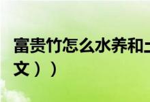 富贵竹怎么水养和土养（富贵竹怎么水养（图文））
