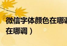 微信字体颜色在哪调苹果手机（微信字体颜色在哪调）