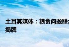 土耳其媒体：粮食问题联合协调中心将于27日在伊斯坦布尔揭牌