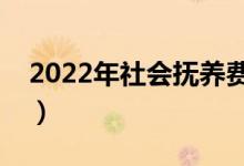 2022年社会抚养费（社会抚养费是什么意思）