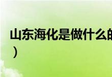 山东海化是做什么的（山东海化所属题材板块）