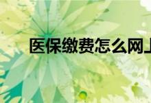 医保缴费怎么网上缴费 需要交多少年 