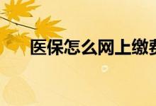 医保怎么网上缴费 医保卡余额怎么算 