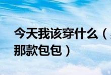 今天我该穿什么（星期六 菲菲推荐了芬迪的那款包包）