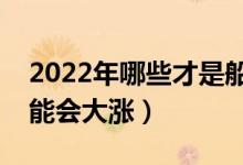 2022年哪些才是船舶龙头（哪些股票最有可能会大涨）