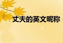 丈夫的英文昵称（丈夫的英文怎么打）