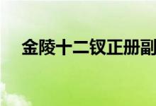 金陵十二钗正册副册名单（金陵十二钗）