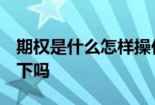 期权是什么怎样操作 期权是什么 可以介绍一下吗