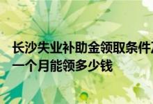 长沙失业补助金领取条件及标准2022 2022长沙失业补助金一个月能领多少钱 