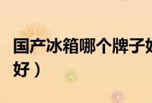 国产冰箱哪个牌子好一点（国产冰箱哪个牌子好）