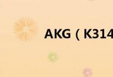 AKG（K314P价格是多少钱）