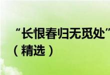 “长恨春归无觅处”的“无觅处”是什么意思（精选）