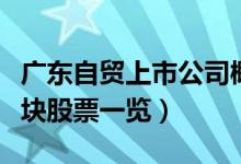 广东自贸上市公司概念股有哪些（广东自贸板块股票一览）