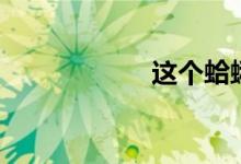 这个蛤蜊（怎么读）