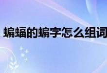 蝙蝠的蝙字怎么组词（蝙蝠的蝙字怎么组词）