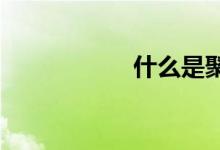  什么是聚合物砂浆？ 