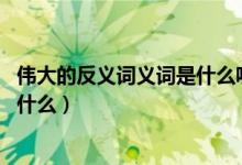 伟大的反义词义词是什么呢（伟大的反义词,伟大的反义词是什么）