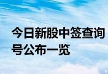 今日新股中签查询：新股金现代300830中签号公布一览