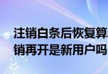 注销白条后恢复算新人吗 白条新人用完就注销再开是新用户吗