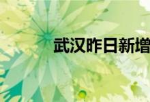武汉昨日新增2例无症状感染者