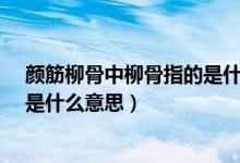 颜筋柳骨中柳骨指的是什么的书法（书法中的“颜筋柳骨”是什么意思）