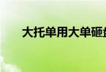 大托单用大单砸盘 大单砸盘什么意思