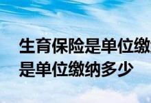 生育保险是单位缴纳还是个人缴纳 生育保险是单位缴纳多少 