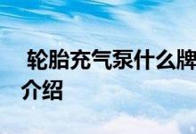  轮胎充气泵什么牌子好 轮胎充气泵十大品牌介绍 
