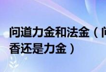 问道力金和法金（问道金关于加点问题法金吃香还是力金）