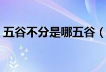五谷不分是哪五谷（五谷不分指的是哪五谷）