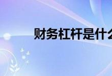 财务杠杆是什么意思（财务杠杆）