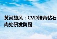 黄河旋风：CVD培育钻石制作方法和第三代半导体开发技术尚处研发阶段