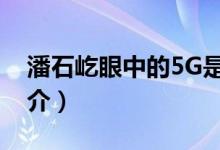 潘石屹眼中的5G是什么样子的（潘石屹的简介）