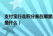 支付宝行走积分赛在哪里报名（支付宝行走积分赛报名条件是什么）