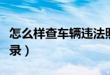 怎么样查车辆违法照片（怎么样查车辆违法记录）