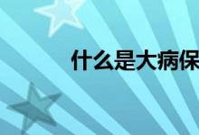 什么是大病保险（什么是裙裾）