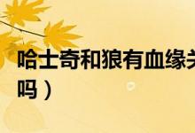 哈士奇和狼有血缘关系吗（哈士奇和狼有关系吗）