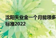 沈阳失业金一个月能领多少钱2022 沈阳失业金领取条件及标准2022 