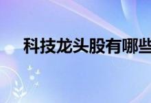 科技龙头股有哪些股 科技龙头股有哪些