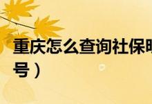 重庆怎么查询社保明细（重庆怎么查询社保卡号）