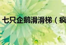 七只企鹅滑滑梯（疯狂企鹅大滑梯一般多少）