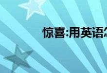 惊喜:用英语怎么读（求发音）