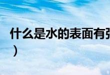 什么是水的表面有张力（什么是水的表面张力）