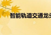 智能轨道交通龙头上市公司有哪些（）