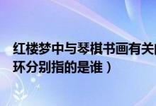 红楼梦中与琴棋书画有关的故事（红楼梦中琴棋书画四大丫环分别指的是谁）