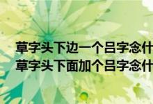 草字头下边一个吕字念什么字（分字下面加个山字念什么?草字头下面加个吕字念什么?）