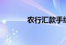 农行汇款手续费（农行汇款）