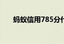 蚂蚁信用785分什么水平（蚂蚁信贷）