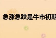 急涨急跌是牛市初期吗 牛市为什么缓涨急跌